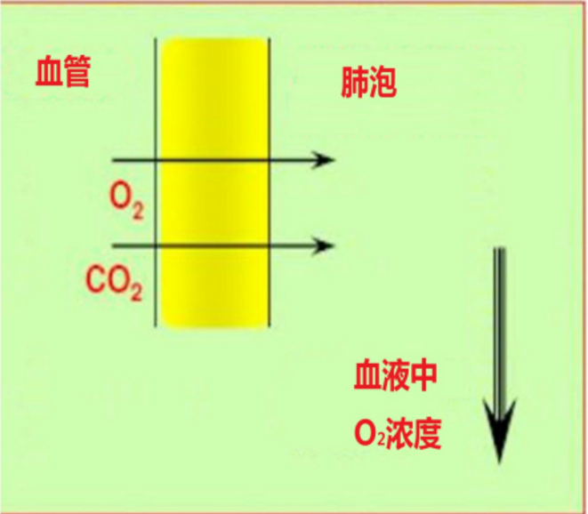 1611799995538796.png 圖片.png